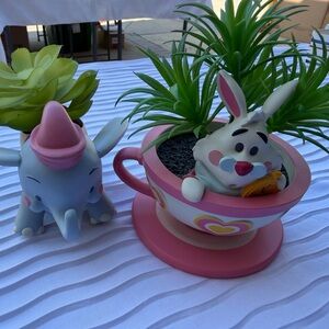 2 Disney Succulent Plants Dumbo & Teacup White Rabbit Hard to Find